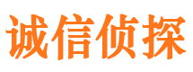 马龙市私家侦探